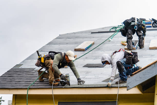 Professional Gutter Installation technician working in Brooksville, FL